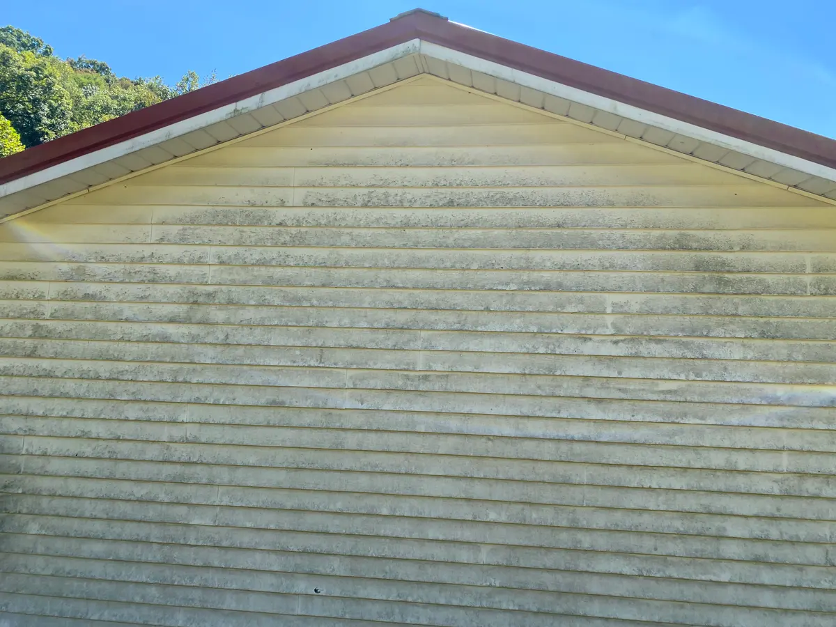Residential siding before pressure washing